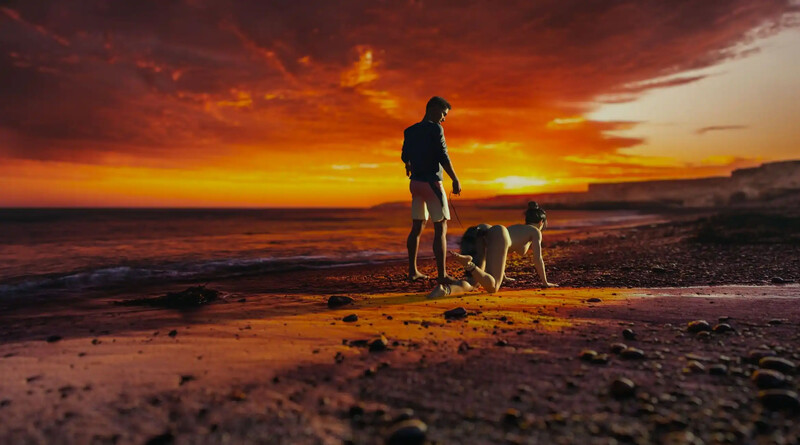 【沙盒SLG/动态/汉化】丽莎的全面调查（Lisa Total Investigation）P2 v0.72B 汉化中文【PC+安卓-8.20G】