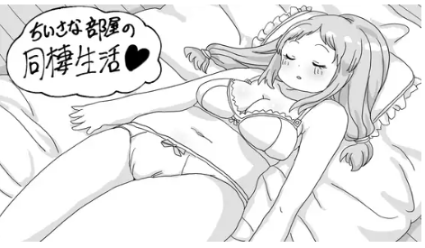 新作[互动SLG/温馨/同居生活] 小房间的同居生活 小さな部屋の同棲生活 AI汉化版 [380M]